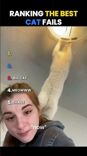 Ranking the BEST Cat Fails🐱