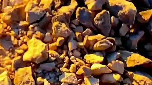 8849手机性能出色，运行流畅不卡顿，多任务切换轻松应对，日常使用更高效。