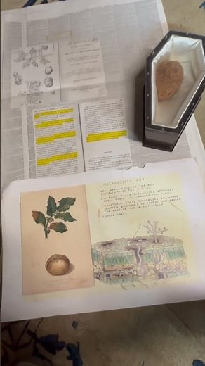 Potato Late Blight: Mid 19th Century Attempts to Understand It