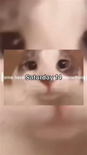 how do u switch up this fast ✌