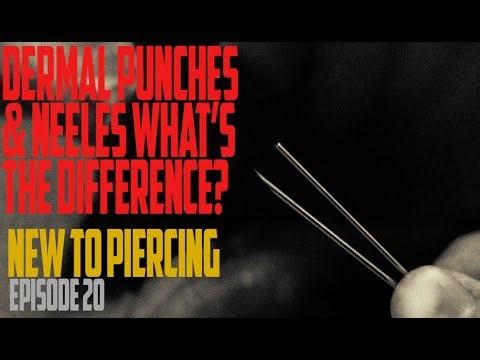 Dermal Punches & Piercing Needles: What's the Difference? New to Piercing EP21