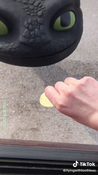 #toothless #dragon | toothless