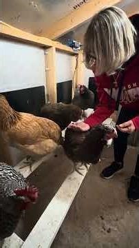 Tucking in the girls and this time Willow was in Pep Pep spot