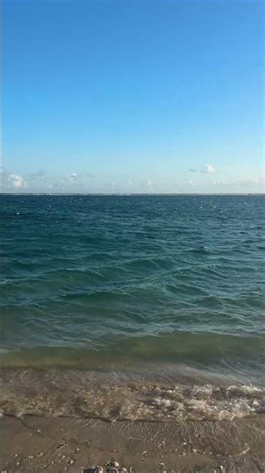 La Saline Les Bains 🇷🇪🌊