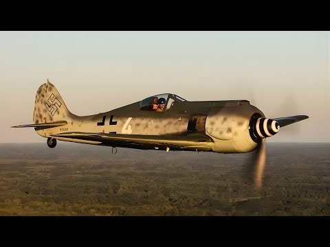 When Soviet Pilots Tested a Captured FW-190 — They Finally Learned How to Beat It