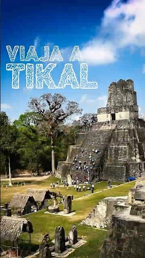 ✨ Entre la selva de Guatemala se esconde una de las ciudades mayas más imponentes del mundo: Tikal.