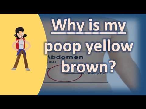 Why is my poop yellow brown ? | Better Health Channel