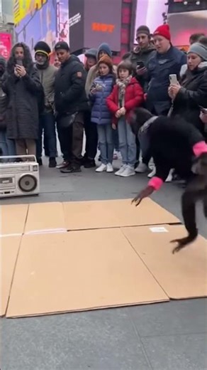 Monkey dancing hip hop 🦧🦧 #monkey #hiphop #animals #aivideo