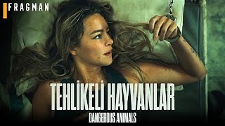 Tehlikeli Hayvanlar yayını: İnternette nereden izlenir?