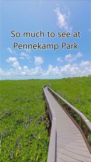 Inside John Pennekamp Coral Reef State Park, So much to experience at Pennekamp