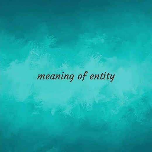 Entity | meaning of Entity