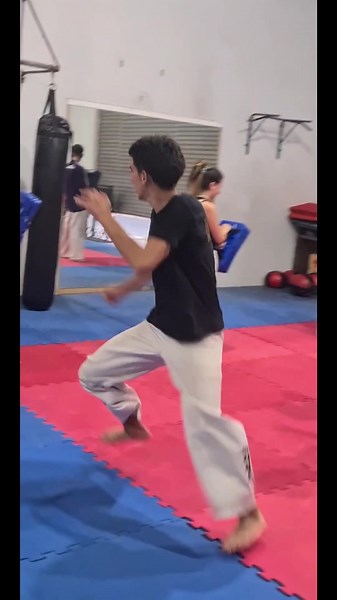 Master Taekwondo Techniques: Sparring and Training Guide