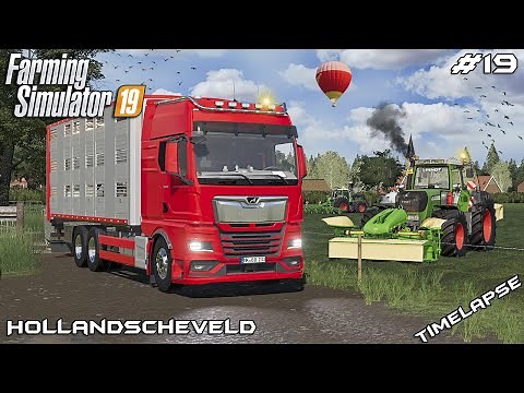 Moving COWS and mowing COW PASTURE | Animals on Hollandscheveld | Farming Simulator 19 | Episode 19
