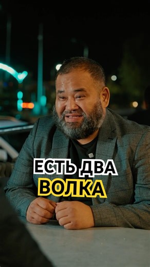 There are two wolves