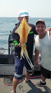 1.9K views · 41 reactions | On today’s guide, the mythical 40cm Sydney Hood made an appearance on the Egihead Z series as Louie Risteski battled swell and wind to land it. We also got some smaller models along with above legal Snapper to make up a decent feed for the boys. I’m getting more enquires and bookings as the weather heats up, so if you have a suitable vessel feel free to shoot us a DM. | Dave Austin Fishing | Facebook