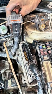 41K views · 247 reactions | ECU Connector Feeding! #ECU #connector #rxmechanic #mechaniclife #fblifestyle | Rx Mechanic | Facebook