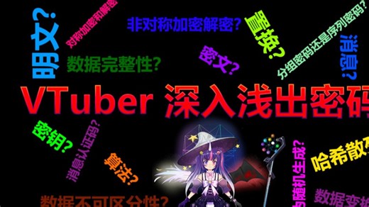 VTuber 深入浅出应用密码学 7-6-9 代码讲解 Twofish 算法 密钥计划的那些事