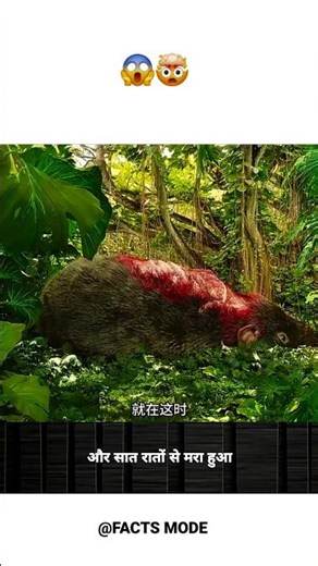 “A Rat Dead for 7 Days Suddenly Moves… What Came Out Was Terrifying! 😨” #shorts