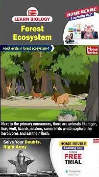 Forest Ecosystem | Learn Biology with Home Revise