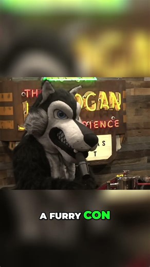 Our Furry Con Love Story: Simulation Confirmed! #shorts