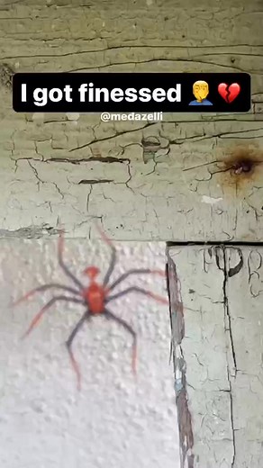 2.9K views · 124 reactions | Vlog of a day in my life with my patek ⌚️ ( Compilation of my videos part 29 ) | Medazelli | Facebook