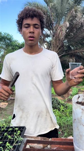 Gardening Tips for a Thriving Jamaican Garden