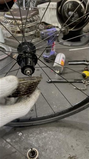 Easy Removal and Installation of an 8-Speed Cassette | Louis Garneau RSR-IV