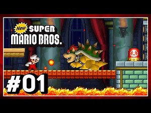New Super Mario Bros. (DS) 100% Walkthrough - World 1 (All Star Coins & Secret Exits)