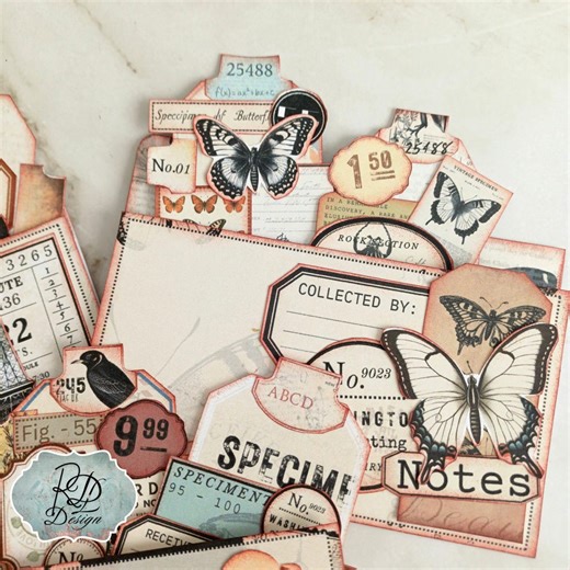 Butterfly File Folder Specimen Folder Junk Journal Vintage Bird Butterfly File Folder Junk Journal Ephemera Landmark Folder Digital Download - Etsy