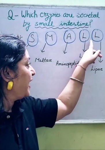 Enzymes Explained 🔬 | Digestion & Absorption | #Class12 #Biology #Shorts by Dr Sweta #reels #viral