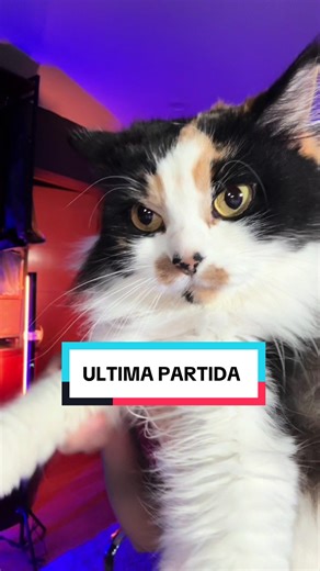 Última partida #videojuego #videojuegos #gamer #gamers #ohpordios | video games
