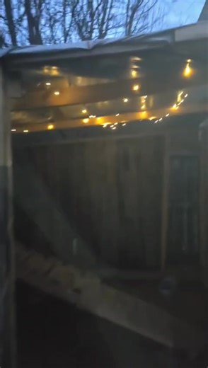 So previously we have been lighting the aviary with a string light hooked to an extension chord. We bought this two pack of solar fairy lights to save money and we love them! Gives a little light but isn't blindingly bright like before & they're very affordable! Here is our affiliate link if any of you are interested in what we used! https://amzn.to/3YxU5pB #CommissionsEarned | Childers Hill Homestead