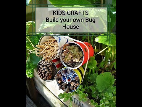 Kids Crafts: Make your very own Bug House
