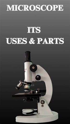 Kasi on Instagram: "Microscope & Its Parts – Exploring the World Beyond the Naked Eye At Jayaam Allied Health Center & CARDS Community College, students are trained to understand and handle essential laboratory instruments like the microscope, a fundamental tool in medical and paramedical education. 🧪💡 🧠 What Is a Microscope? ➡️ A microscope is an instrument used to magnify and observe microscopic organisms, cells, and tissues that are invisible to the naked eye. 🔍 Main Parts of a Microscope