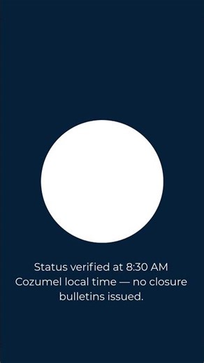 Cozumel Port Status — March 29, 2026 — 8:30 AM