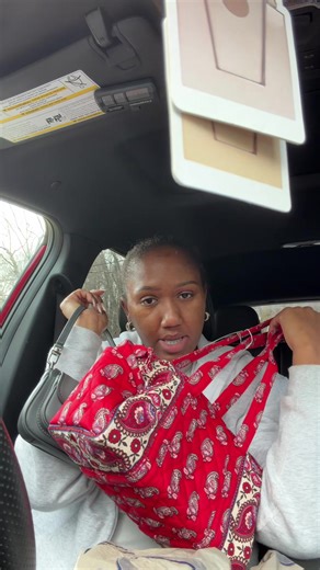 Exciting Purse Haul from Dillard's