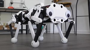 US student's rope-driven robot dog walks naturally with clever math