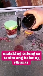 47K views · 357 reactions | Benefits Nutrient-rich: Onion peels contain nutrients like potassium, phosphorus, calcium, and nitrogen, which are essential for plant growth. #onion #gardening #gardeningtips #farmlife #sustainableliving #fblifestyle #gardeningtips #selfimprovement #personalgrowth #selfawareness #fyp #everyonefollowers | Canaan All in One Fertilizer Original Direct Supplier | Facebook