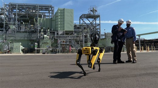 Robot dog 'Spot' sniffs out hazards at Chevron oil refinery in El Segundo