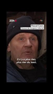 Dermatose nodulaire : comment la Haute-Savoie a éradiqué la maladie