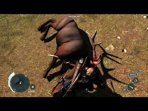 Assassin's Creed 3-AMD Radeon HD 6320 Short Gameplay-Hunt