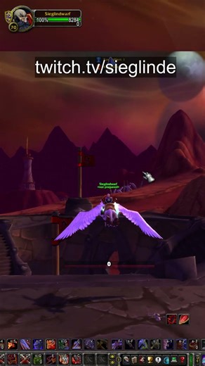 DMG METER GUT ODER BAD