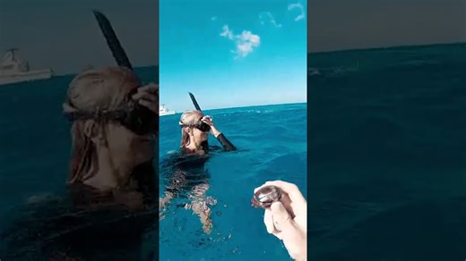 We Found Some Epic Shells