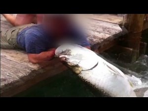 Watch man get into 'fish fight'