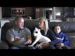 Dogo Argentino as family protection dog, World Class K-9 Testimonial