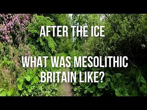 After the Ice: What was Mesolithic Britian Like?
