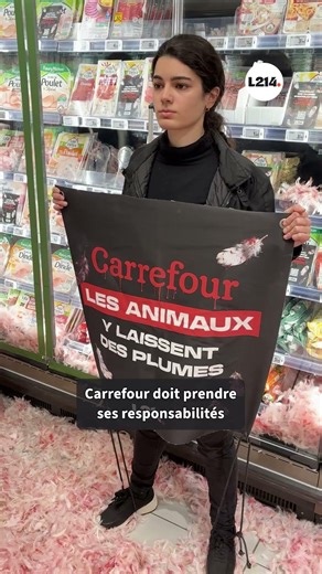 Immersion au cœur d’une action L214 dans un supermarché Carrefour !