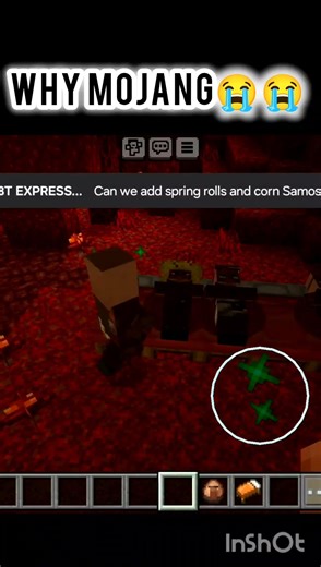I THINK SOMETIMES THERE'S SOME BUGS THAT SHOULD BE FIXED IN MC #minecraft #viral #minecraftgameplay