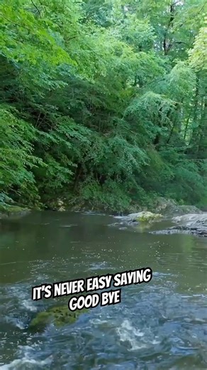 How do you say good bye?