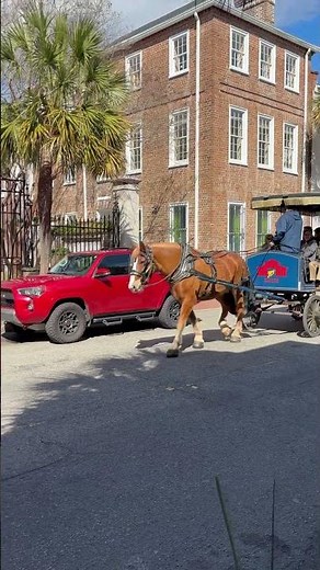 Horse drawn carriage rides in Charleston, South Carolina